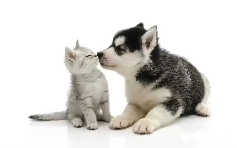 2024042210872982.jpg 洛陽朗威藥業(yè)1.jpg