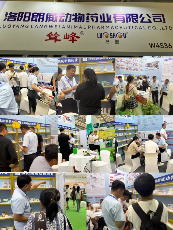 2024042315049218.png 洛陽朗威3.png