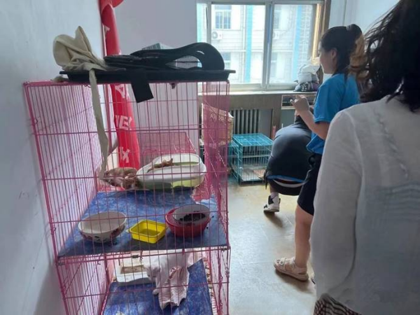 2024042315850057.png 洛陽(yáng)朗威4.png